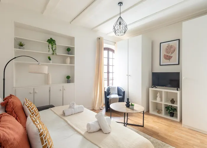 Cozy A Grenelle *